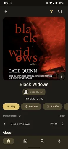 Resuming audiobook, album, playlist screenshot 1