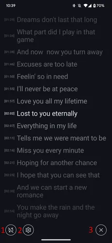 Lyrics interface screenshot 1