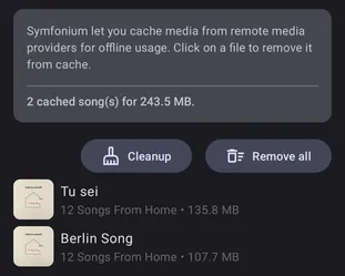 Settings - Manage offline files screenshot 2