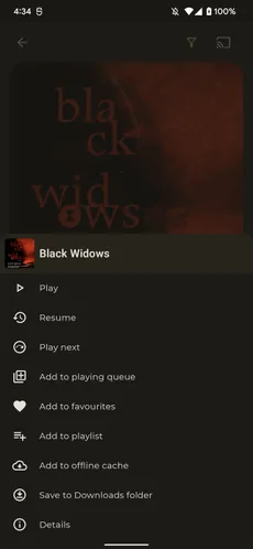 Resuming audiobook, album, playlist screenshot 2
