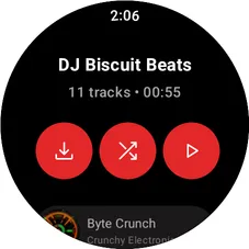 Wear OS search or browsing screen