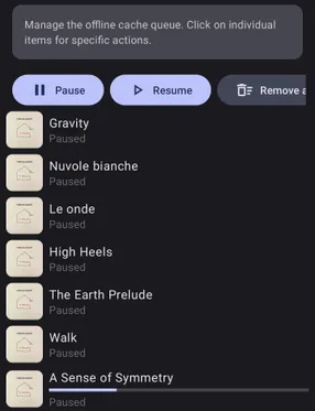 Settings - Manage offline files screenshot 3