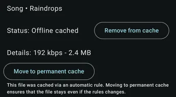 Offline media cache, downloads, and playback cache screenshot 4