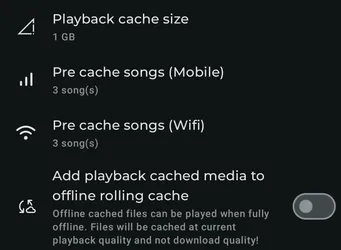 Settings - Offline, Cache and Download screenshot 4