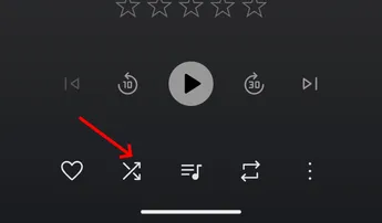 Mixes, Radio, Shuffle, Shuffled, ... What the random screenshot 8