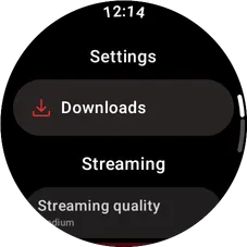 Wear OS settings overview screen